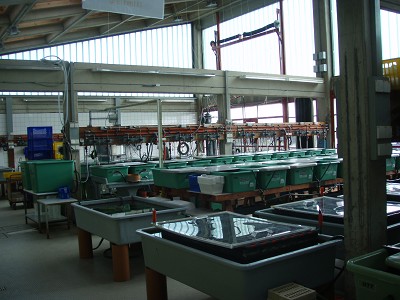 Züchtungshalle